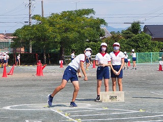 P9168361.jpg
